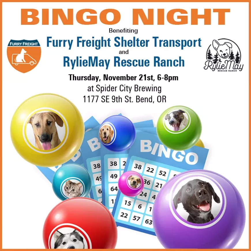BINGO Night Benefiting Shelter Pets in Need!
