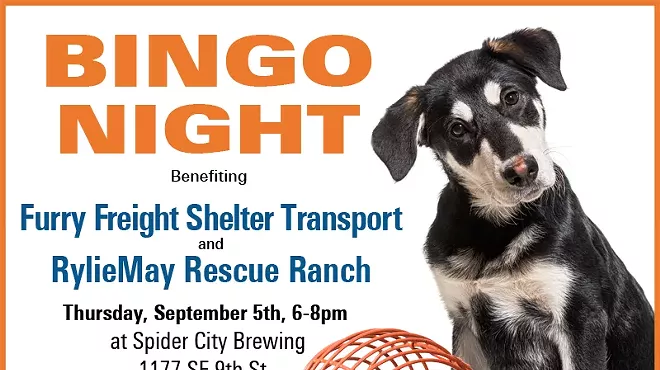 Image: BINGO Benefiting Shelter Pets in Need!