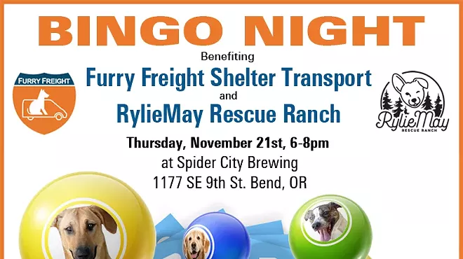 Image: BINGO Benefiting Shelter Pets in Need!