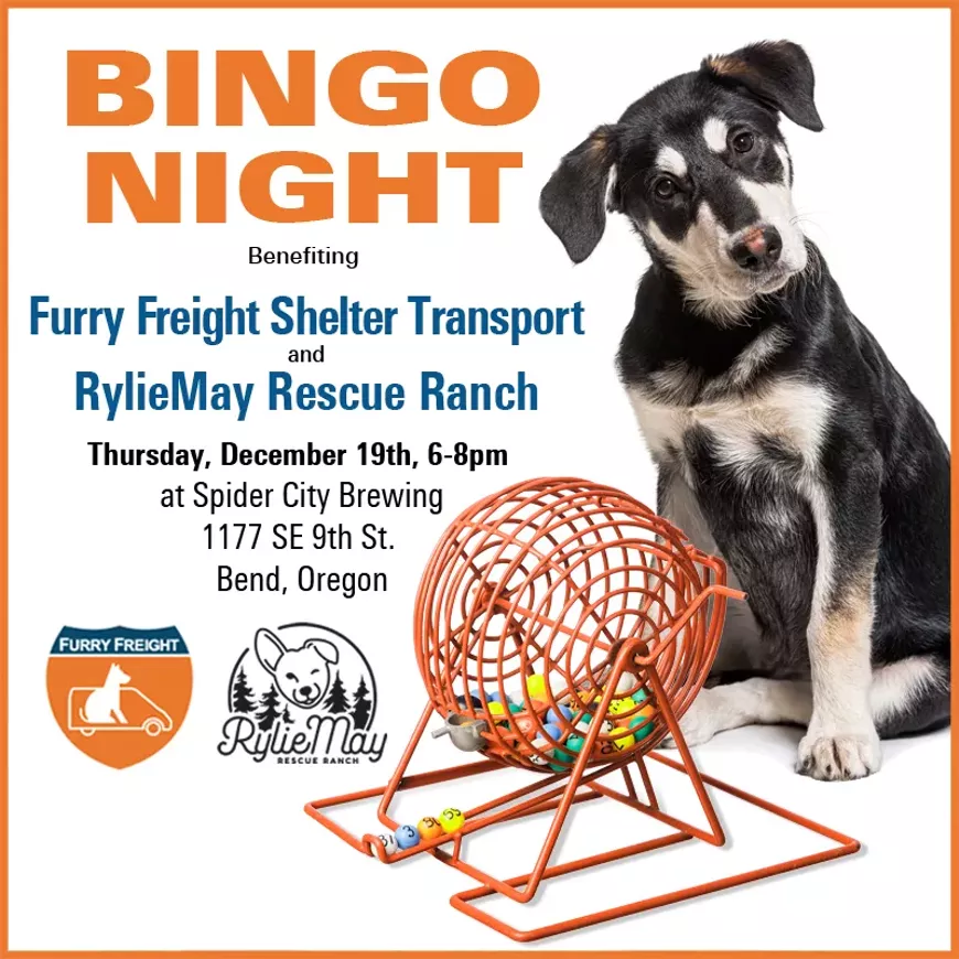 BINGO Night Benefiting Shelter Pets!