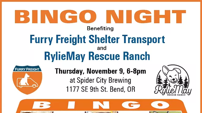 Image: Bingo Benefiting Shelter Pets!