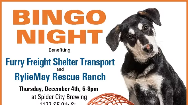Image: Bingo Benefiting Shelter Pets