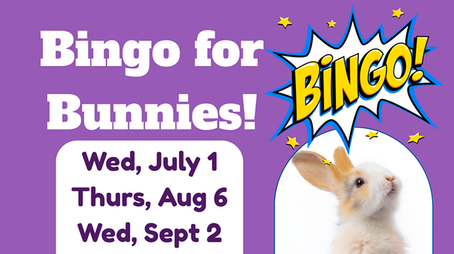 Image: Bingo For Bunnies!