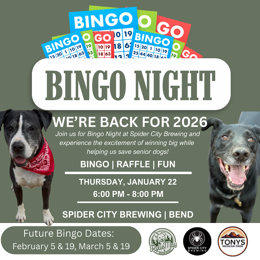 bingo_jan.png