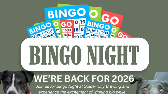 Image: Bingo for Senior Dogs