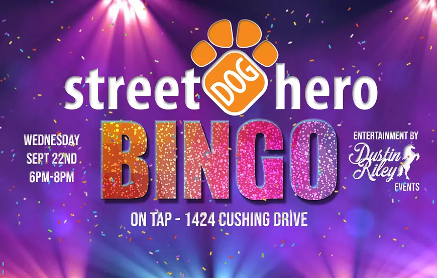 BINGO for Street Dog Hero