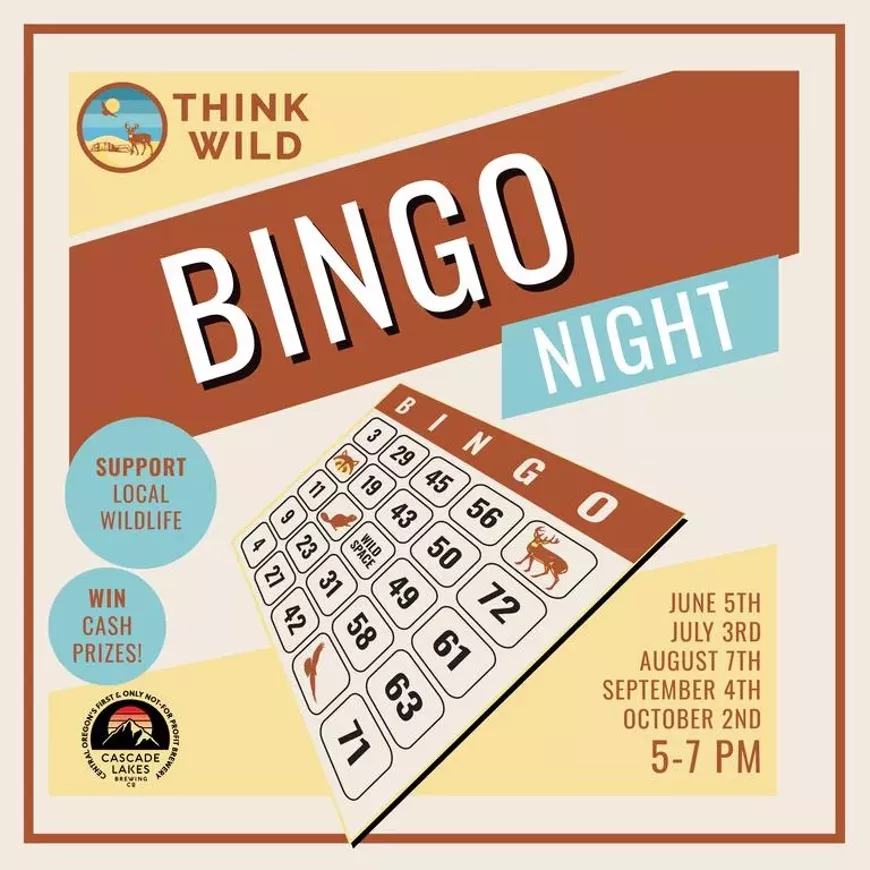 bingo.webp