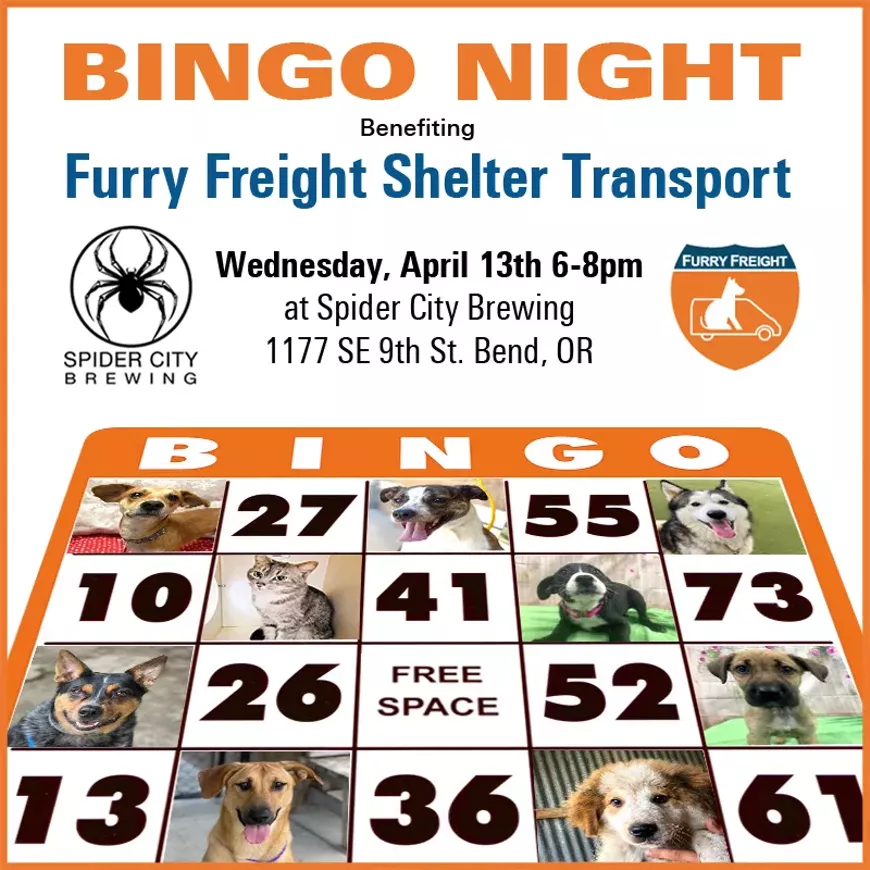 Bingo benefiting Furry Freight!