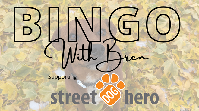 Image: Bingo with Bren Supporting Street Dog Hero