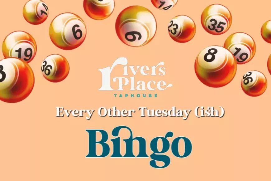 bingo_web_1_.webp