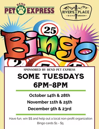 Image: Bingo!