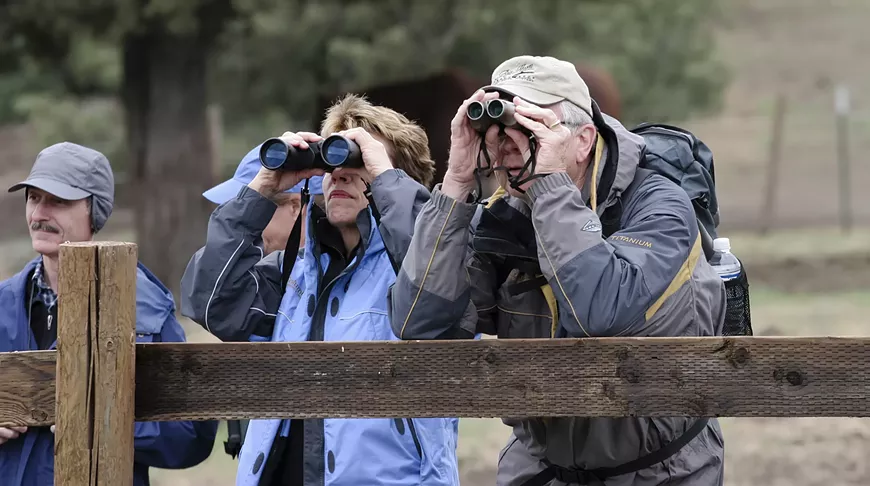 bo.rr_2008_05_25_bird_walk-42_tv.webp