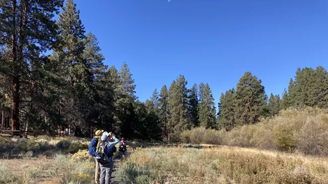 Image: Bird Walk