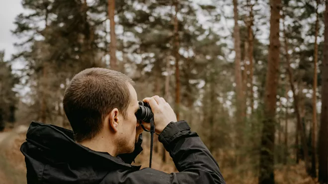 Image: Bird Walk