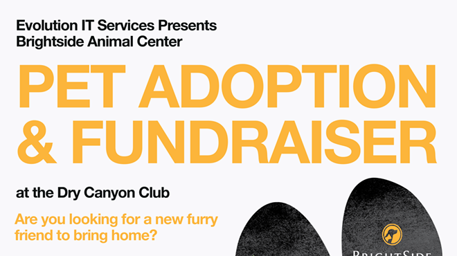 Image: Brightside Dop Adoption and Fundraiser