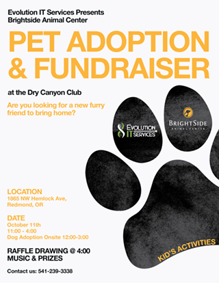 Image: Brightside Dop Adoption and Fundraiser