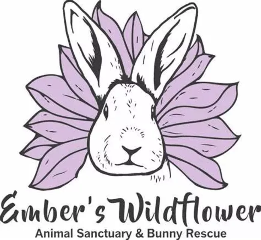 embers.webp