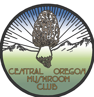 Image: Central Oregon Mushroom Club hosts &ldquo;From Spores to Spectrum&rdquo; with Julie Beeler