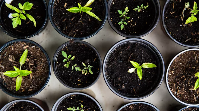 Image: Central Oregon Veterans Plant Sale