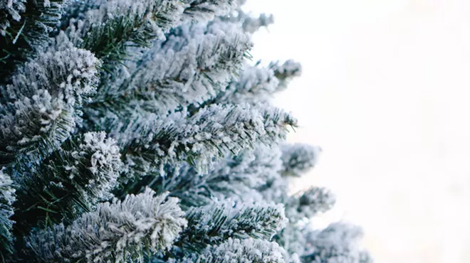 Image: Christmas in the Pines