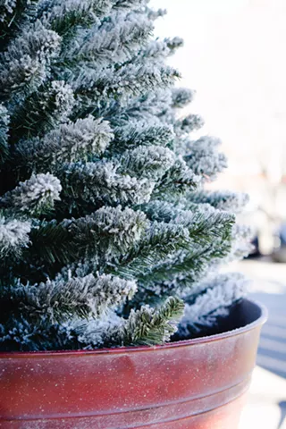 Image: Christmas in the Pines