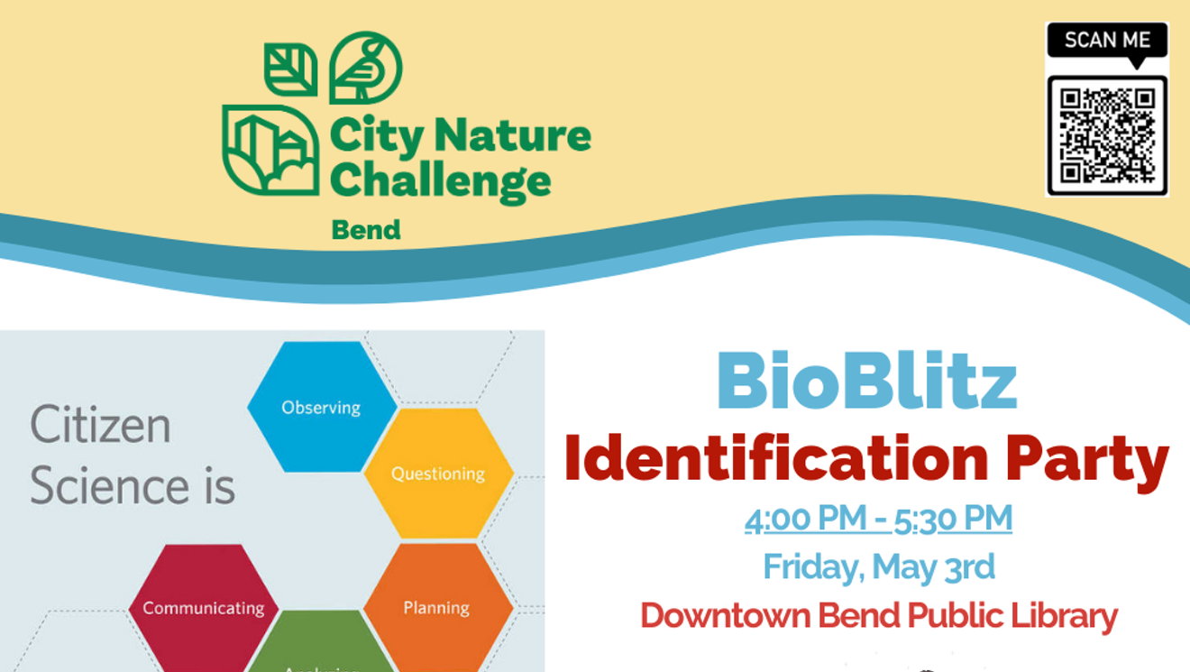 City Nature Challenge - BioBlitz Identification Party with Think Wild