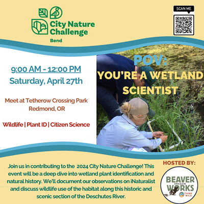 City Nature Challenge - Wetland Plant ID workshop at Tetherow Crossing Park