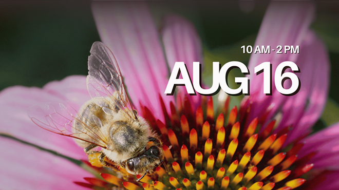 Image: COBKA Honey Bee Field Day & Picnic