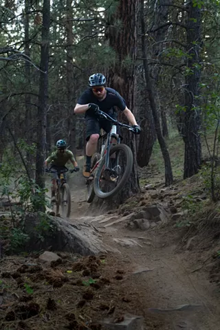 Image: Cog Wild Jumping for Oldies