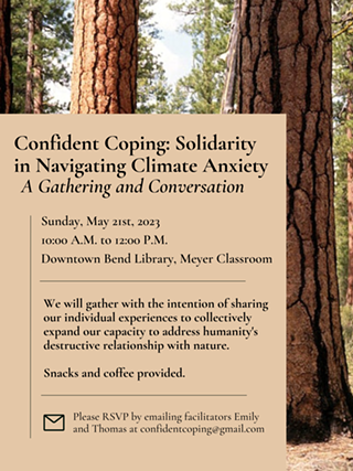 Confident Coping: Solidarity in Navigating Climate Anxiety