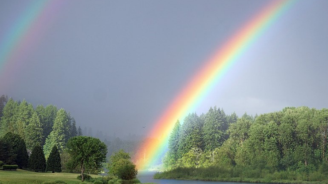 Image: Connect With and Heal Your Chakras Series