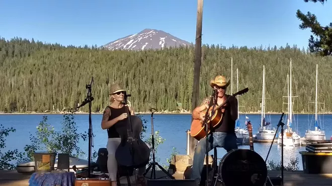 Image: Coyote Willow