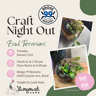 Image: Craft Night Out at Bridge 99 Brewery - Bowl Terrarium