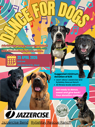 Image: Dance for Dogs