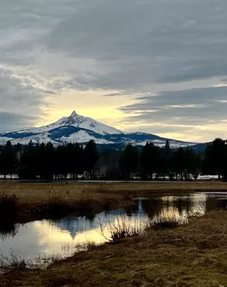 Image: DAVID KREITZER NEW YEAR EXHIBITION