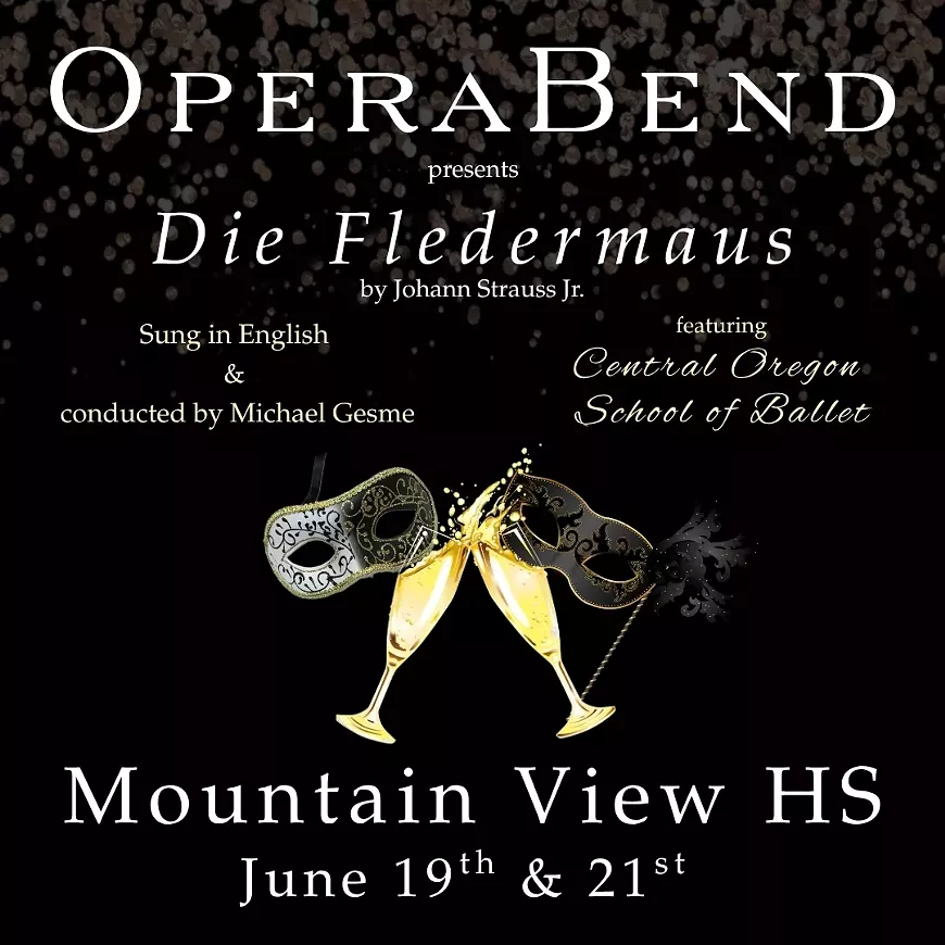 fledermaus_square-2.webp