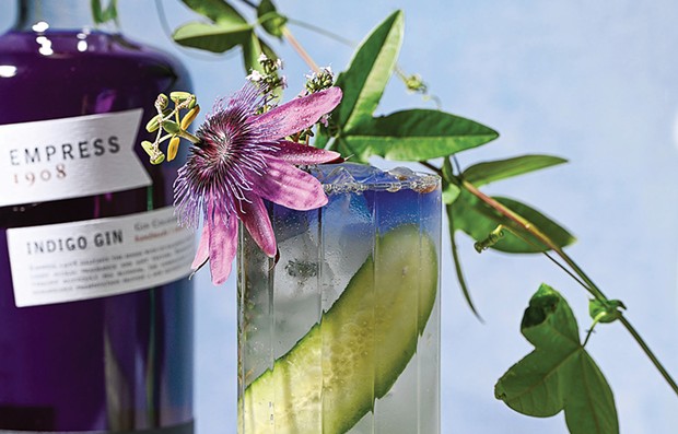 Discover the Magic of Butterfly Pea Flowers