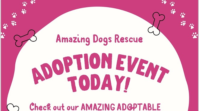 Dog Adoption Event Hosted by Amazing Dogs Rescue