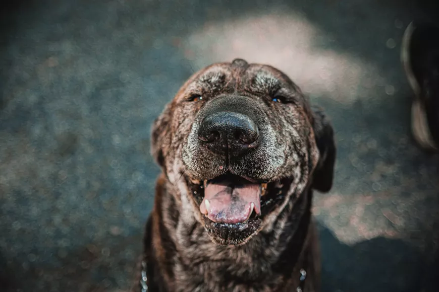 caroline-o-brien-gxaar01dsis-unsplash.webp