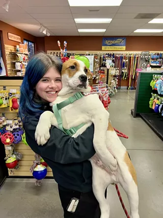 Image: Dog adoption event