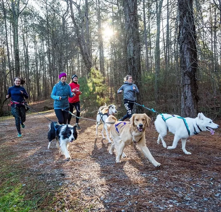 Canicross, named for its mash-up of &ldquo;canine&rdquo; and &ldquo;cross-country,&rdquo; is the sport of cross-country walking, jogging or running with your dog.