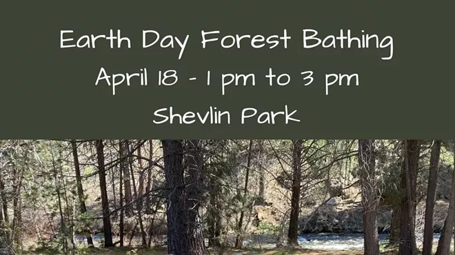 Image: Earth Day Forest Bathing: Reciprocity with the Wild