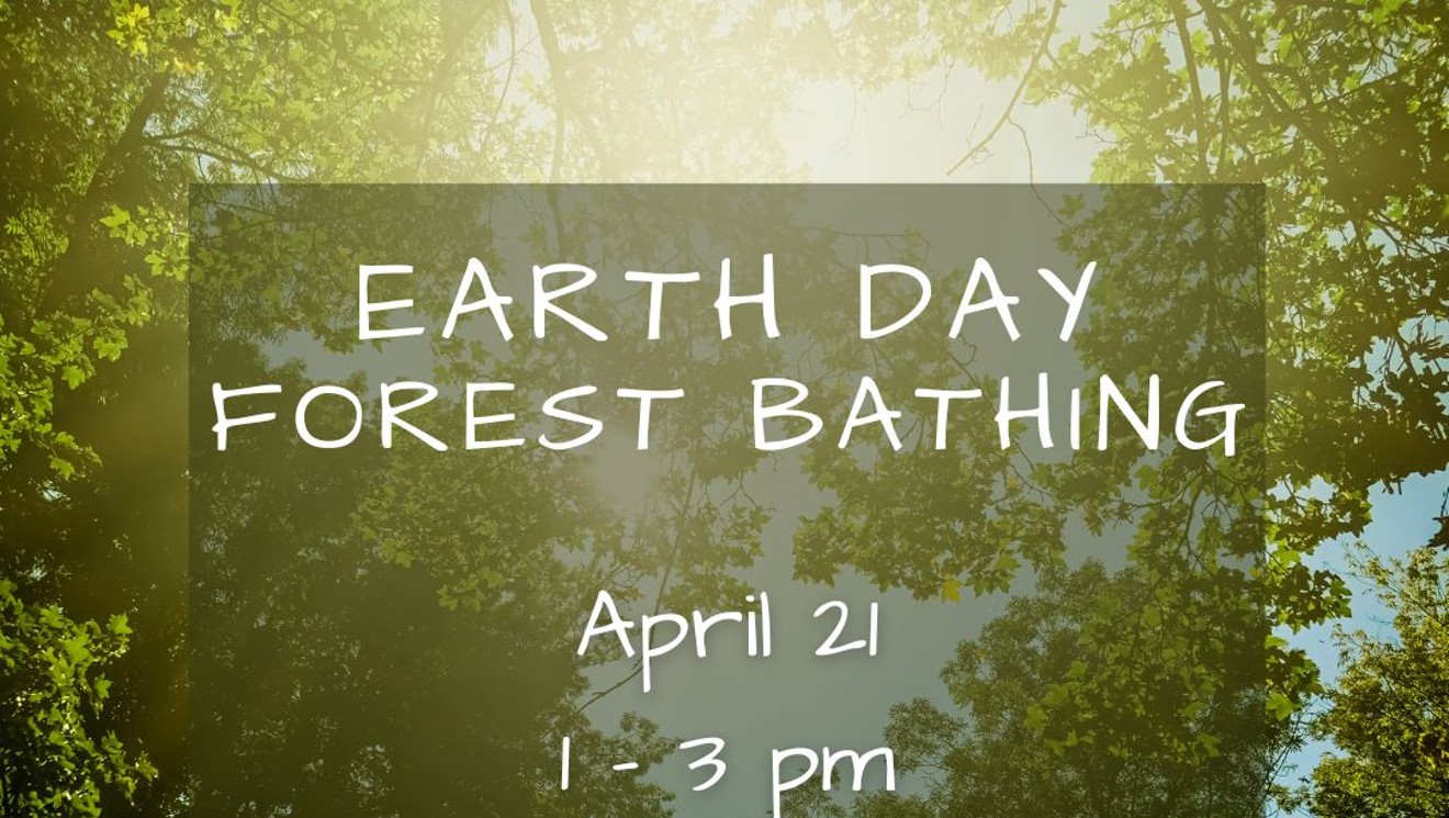 Earth Day Forest Bathing