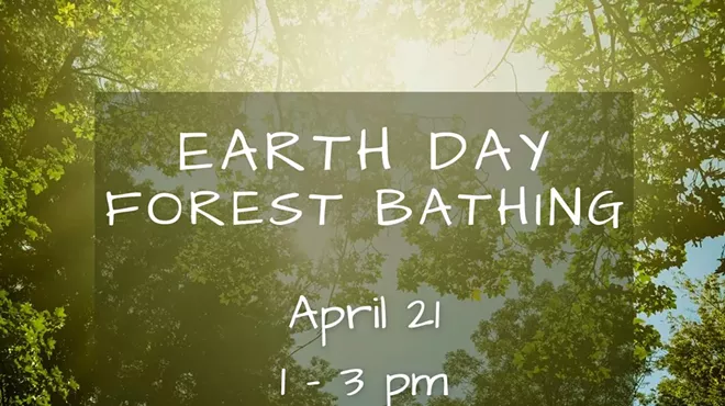 Image: Earth Day Forest Bathing
