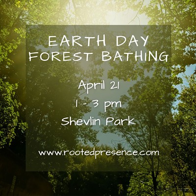 Earth Day Forest Bathing