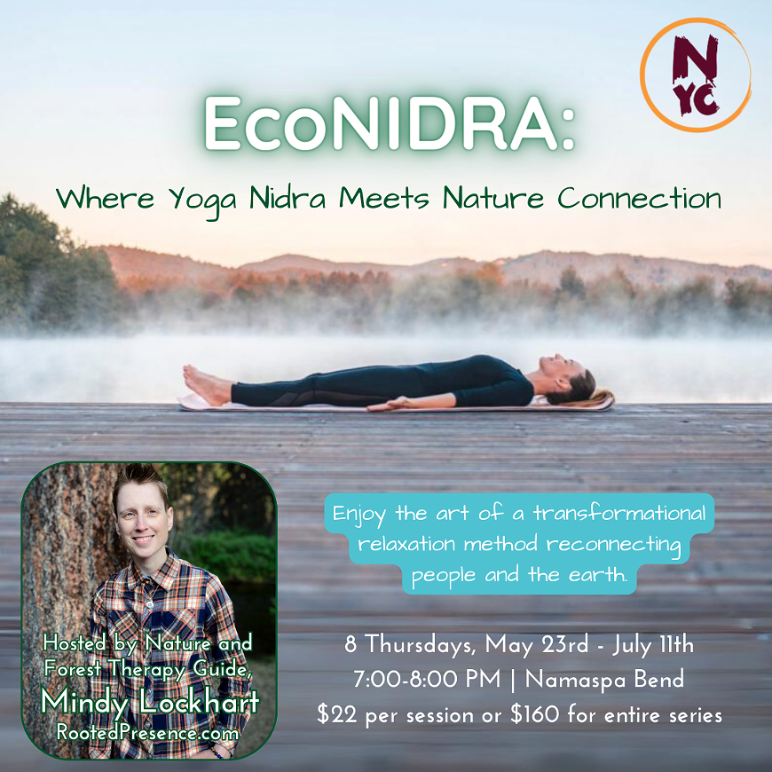 econidra_web.png