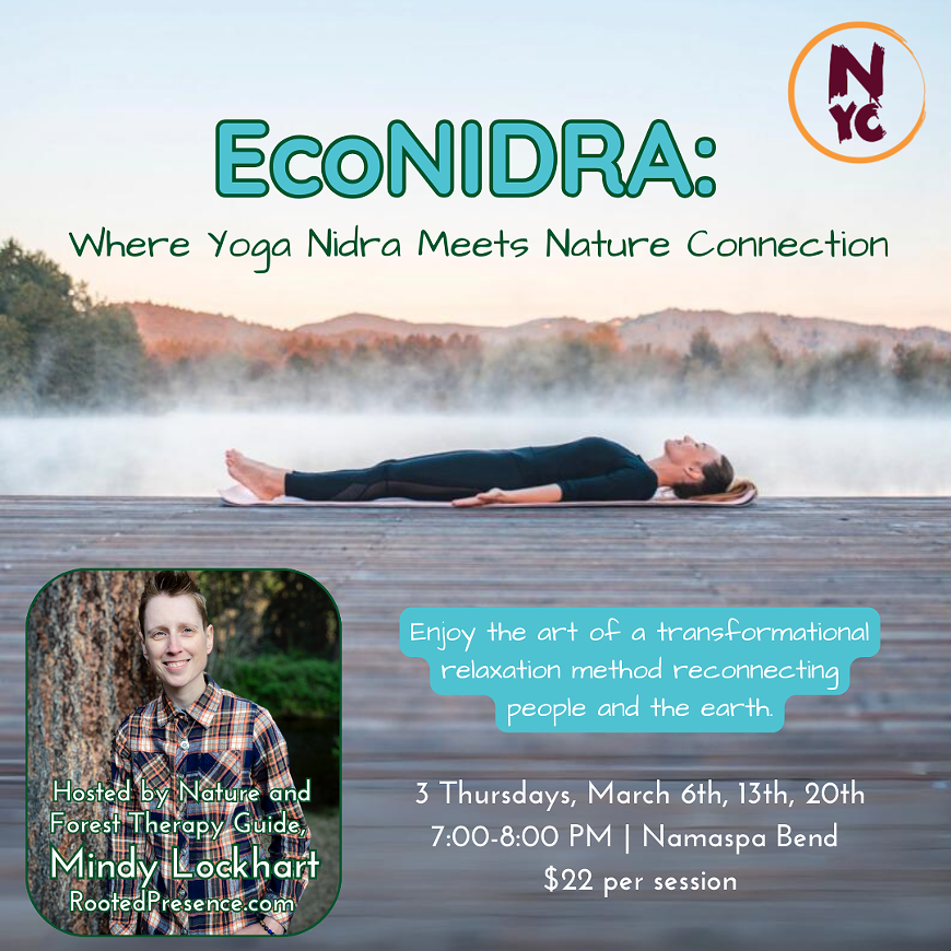 econidra_web.png