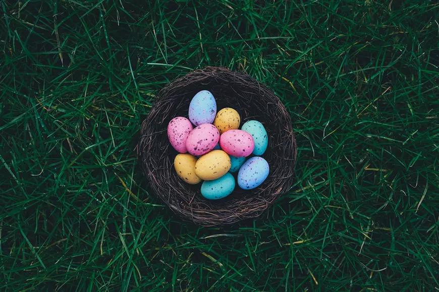 annie-spratt-43o1kvbowxa-unsplash.webp