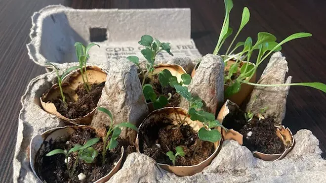 Image: Eggshell Garden Starts at The Environmental Center's Happy Hour in the Garden