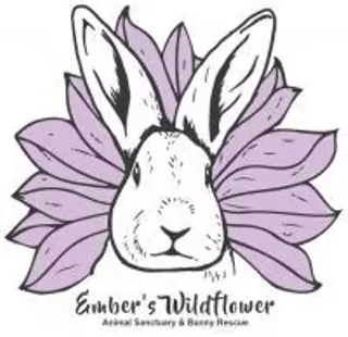 Image: Ember's Wildflower Animal Sanctuary and Bunny Rescue